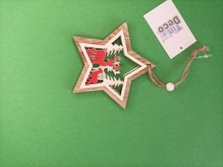 Vianočná hviezda drv. na záves obojstranná